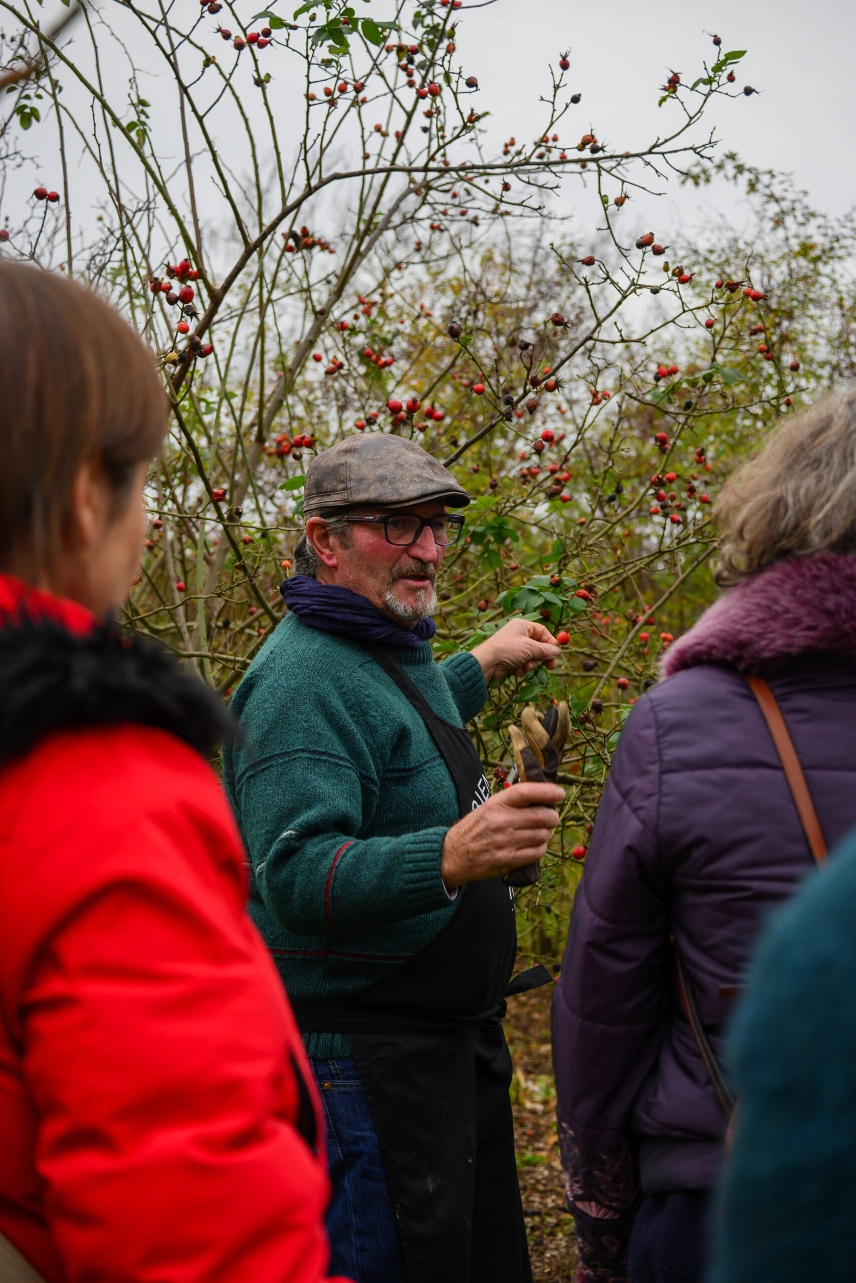 Cours de taille des rosiers à la Fête des Rosiers d'automne 2023. Roseraie Les Chemins de la Rose