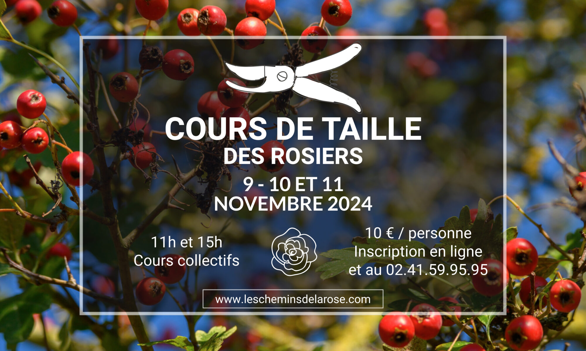 Cours de taille de rosiers 2024 aux Chemins de la Rose