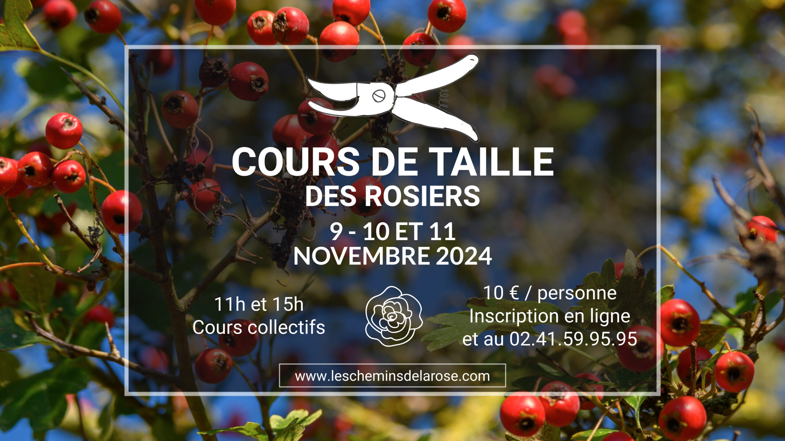 Cours de taille de rosiers 2024 aux Chemins de la Rose