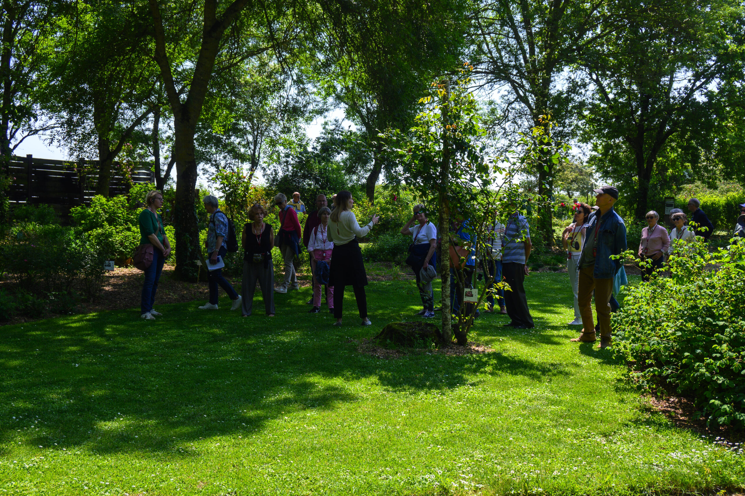 visite guidée individuels